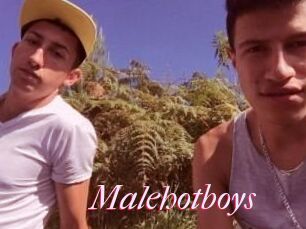 Malehotboys