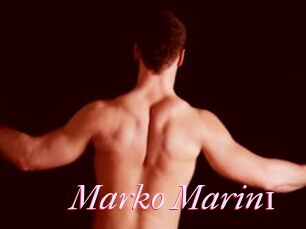 Marko_Marin1