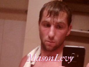 Mason_Levy
