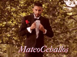 MateoCeballos