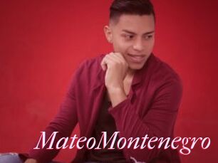 MateoMontenegro