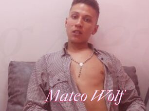 Mateo_Wolf