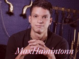 MaxHamintonn