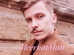 MeerkatMatt