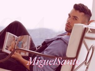 MiguelSanto