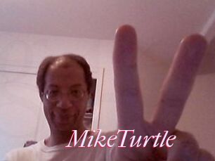 MikeTurtle