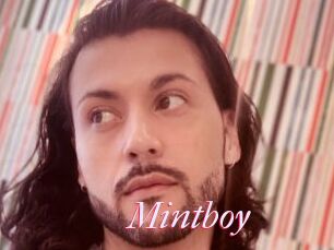 Mintboy