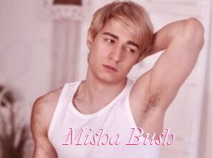 Misha_Bush