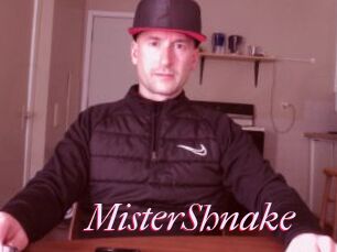 MisterShnake