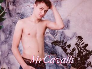 MrCavalli