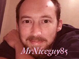 MrNiceguy85