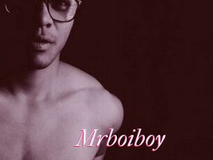 Mrboiboy