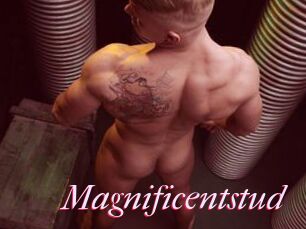 Magnificentstud