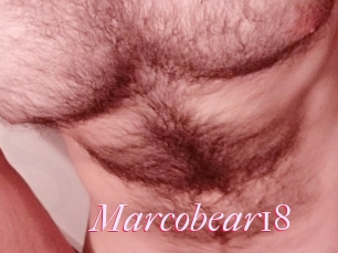 Marcobear18
