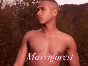 Marcoforest