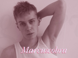 Marcuscobra