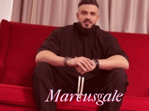 Marcusgale