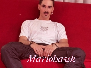 Mariohawk