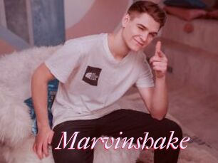 Marvinshake