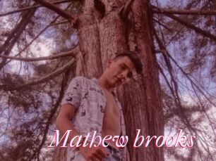 Mathew_brooks