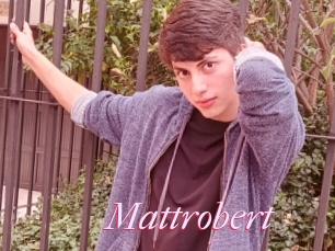 Mattrobert