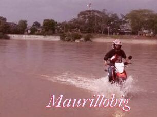 Maurillobig