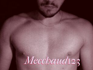 Mecchaud123