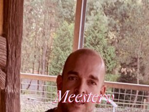 Meesterv