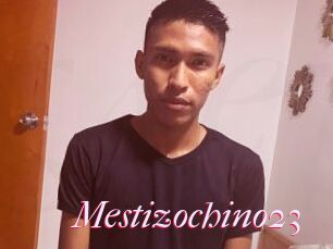 Mestizochino23