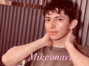 Mikesmart