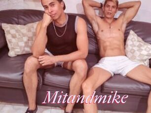 Mitandmike