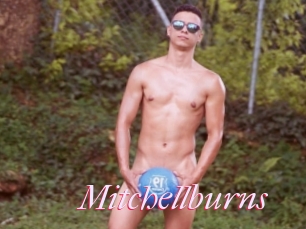 Mitchellburns