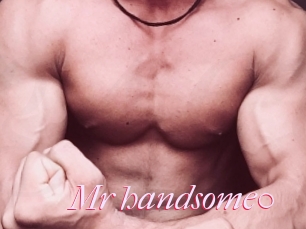 Mr_handsome0