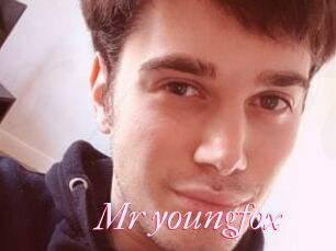 Mr_youngfox