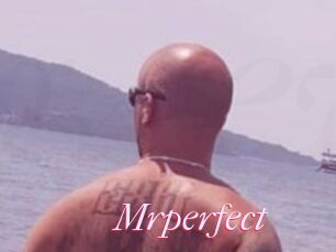 Mrperfect