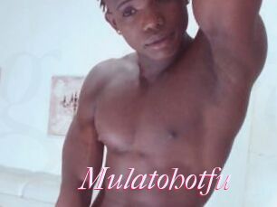 Mulatohotfu