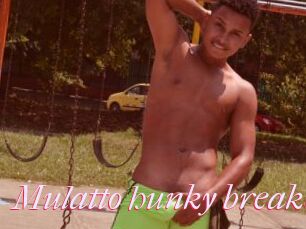 Mulatto_hunky_breaker