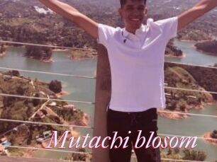 Mutachi_blosom