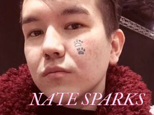NATE_SPARKS