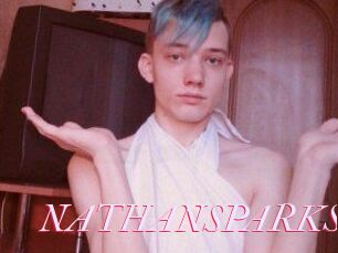 NATHAN_SPARKS