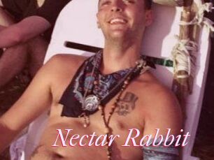 Nectar_Rabbit