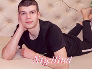 NigelBud