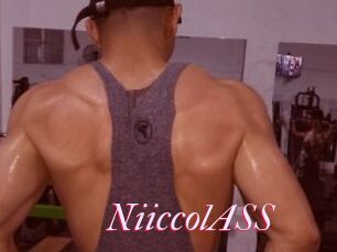 NiiccolASS
