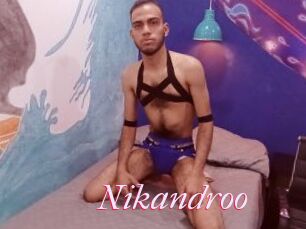 Nikandroo