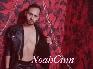 NoahCum