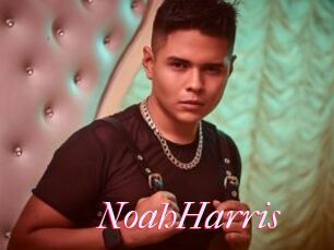 NoahHarris