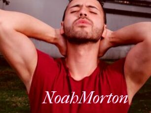 NoahMorton