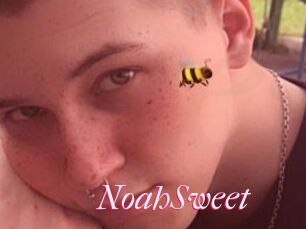 NoahSweet