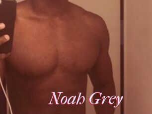 Noah_Grey