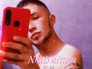Noah_kitten